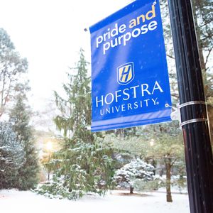 Image post by @hofstrau on Instagram