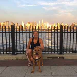 Image post by @aliontherun1 on Instagram