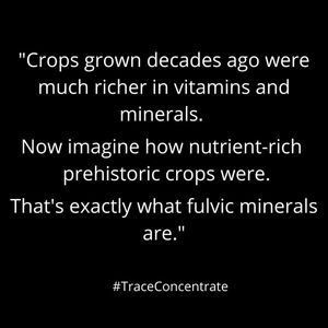 Image post by @mytracewellness on Instagram