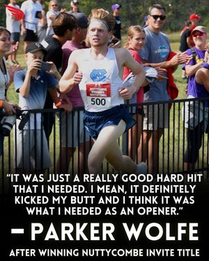 Image post by @dyestat on Instagram