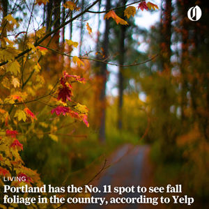 Image post by @theoregonian on Instagram