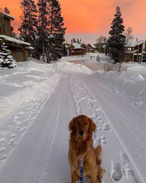 Image post by @winterparkresort on Instagram