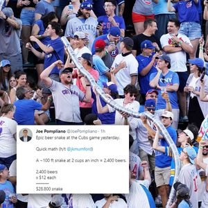Image post by @chicagocubsnation on Instagram