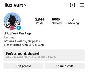 Image post by @liluzivurt on Instagram