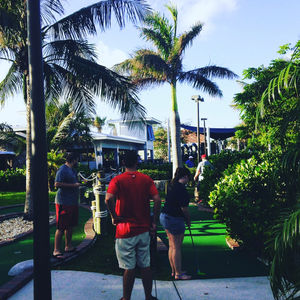 Image post by @gohammerheads on Instagram