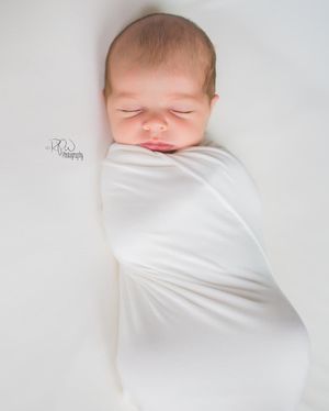 Image post by @rpwphotography_mi on Instagram