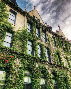Image post by @uchicago on Instagram