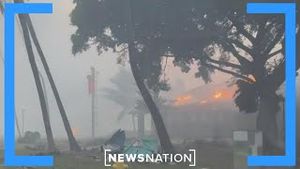 Video post by @newsnation on YouTube