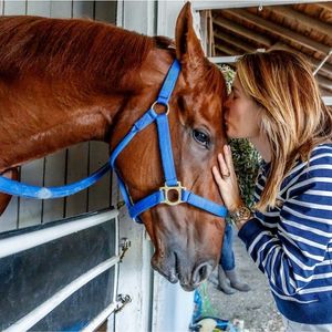 Image post by @pegasusworldcup on Instagram