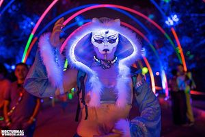 Image post by @nocturnalwland on Instagram