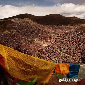 Image post by @gettyimages on Instagram