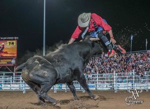 Image post by @bullfightersonly on Instagram
