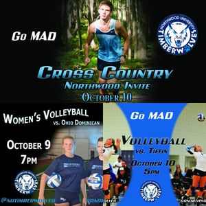 Image post by @nutimberwolves on Instagram