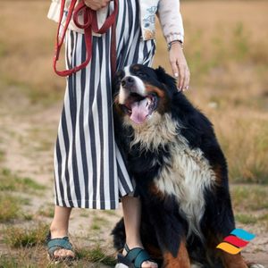 Image post by @triumphpetfood on Instagram