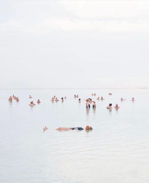 Image post by @fubiz on Instagram