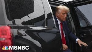 Video post by @msnbc on YouTube
