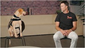 Video post by @espn on YouTube