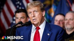Video post by @msnbc on YouTube