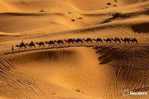 Image post by @reuters on Instagram