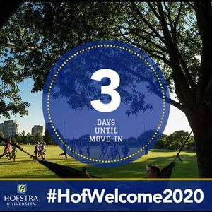 Image post by @hofstrau on Instagram