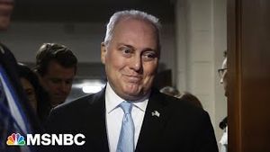 Video post by @msnbc on YouTube