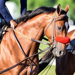 Image post by @spendthriftfarm on Instagram