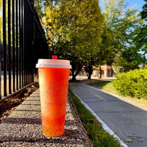 Image post by @tenkoteachampaign on Instagram