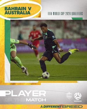 Image post by @socceroos on Instagram