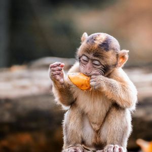 Image post by @discovery on Instagram