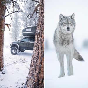 Image post by @earthroamer on Instagram