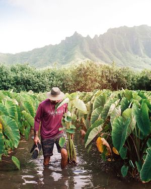 Image post by @olukai on Instagram