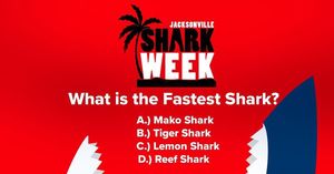 Image post by @jaxsharks on Instagram