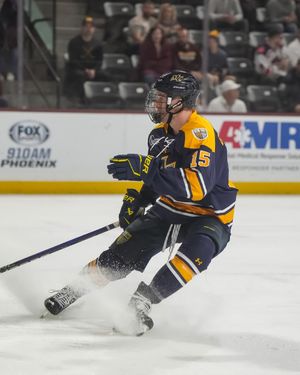 Image post by @merrimack_mih on Instagram