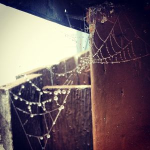 Image post by @amandakl on Instagram