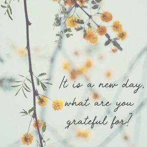 Image post by @tysadesigns on Instagram