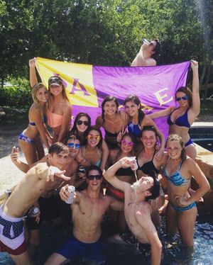Image post by @txstsae on Instagram