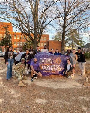 Image post by @nsula on Instagram