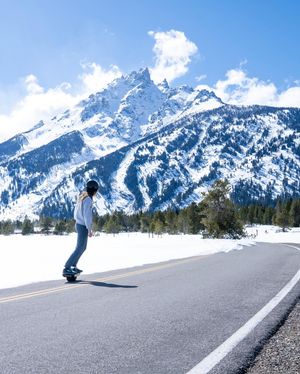 Image post by @onewheel on Instagram
