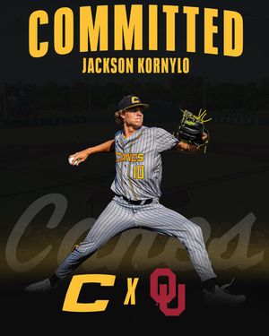 Image post by @thecanesbb on Instagram