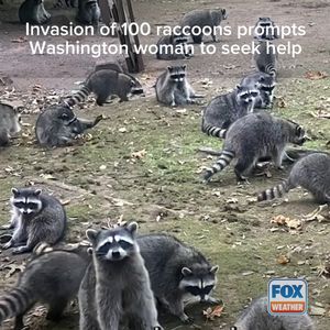 Image post by @foxweather on Instagram