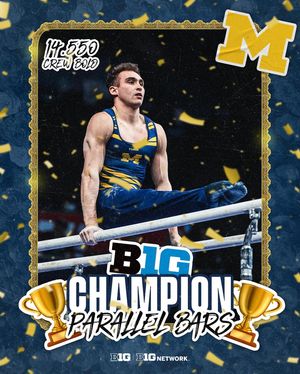 Image post by @b1ggymnastics on Instagram