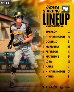 Image post by @thecanesbb on Instagram