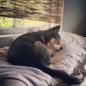 Image post by @keagananfuso on Instagram
