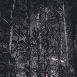 Image post by @shannalo on Instagram