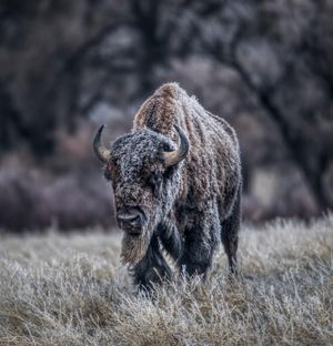 Image post by @trevorfrench on Instagram