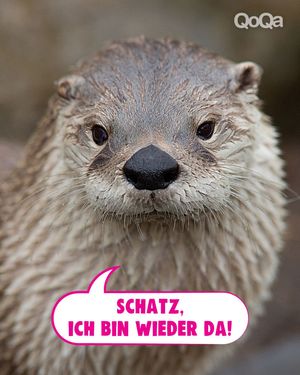 Image post by @qoqa_schweiz on Instagram