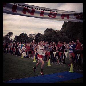 Image post by @isuredbirds on Instagram