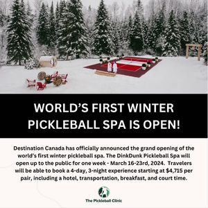 Image post by @thepickleballclinic on Instagram
