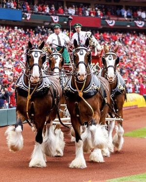 Image post by @BudweiserUSA on Facebook