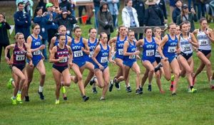 Image post by @dyestat on Instagram